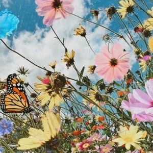 Meet your Posher, Rylie